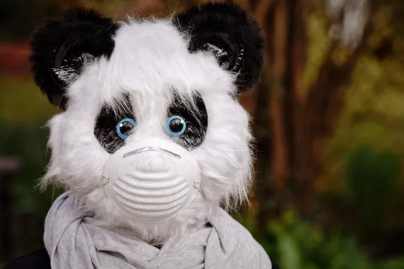 Casino Cabaret Club Tacaíocht